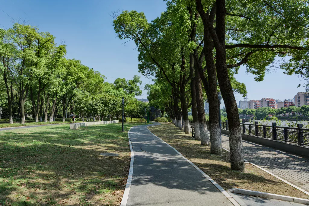 Piste cyclable et nature en ville.